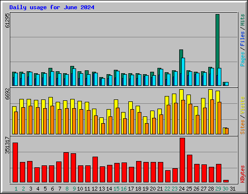 Daily usage for June 2024