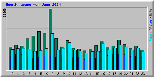 Hourly usage for June 2024