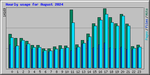 Hourly usage for August 2024