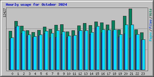 Hourly usage for October 2024