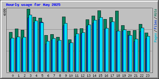 Hourly usage for May 2025