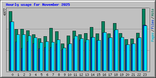 Hourly usage for November 2025