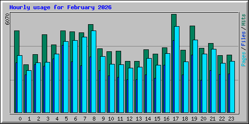 Hourly usage for February 2026
