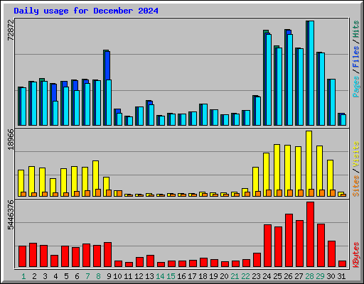 Daily usage for December 2024