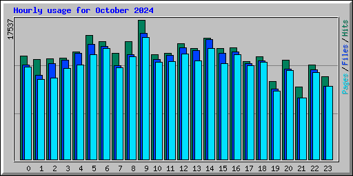 Hourly usage for October 2024