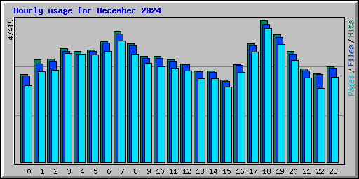 Hourly usage for December 2024