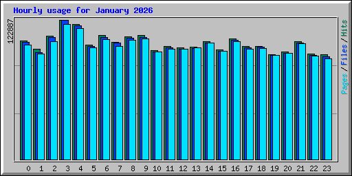 Hourly usage for January 2026